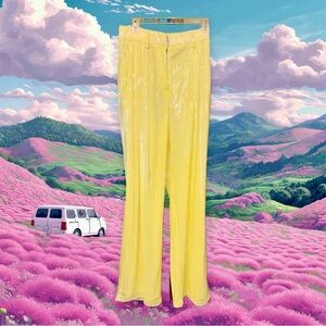 STAUD Lemon High Waisted Sequin Pants!